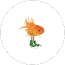 Deanna Holm profile picture