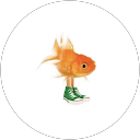 Deanna Holm profile picture